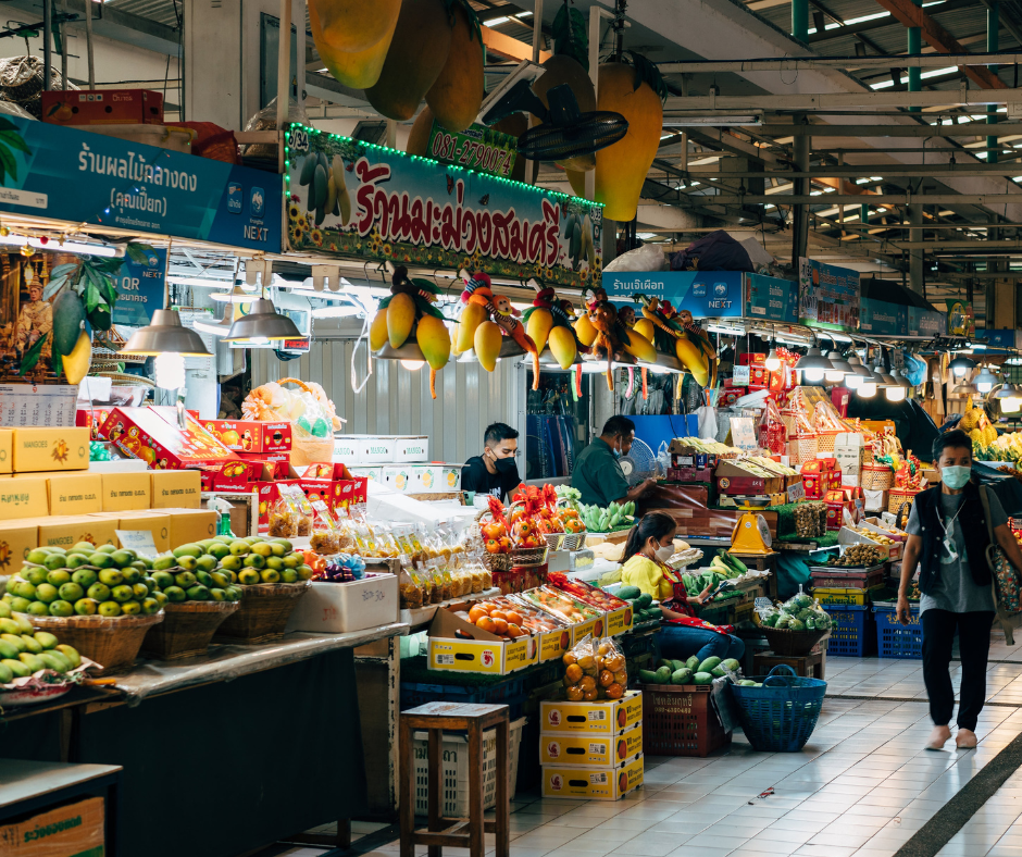 design sem nome (15)