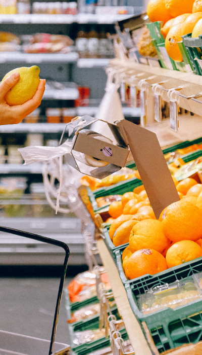 design sem nome (13)